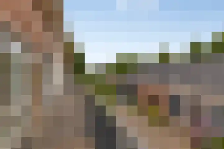 Schaterland 7 Ellecom thumbnail 44