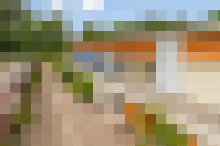 Schaterland 7 Ellecom thumbnail 46