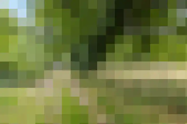 Schaterland 7 Ellecom thumbnail 51