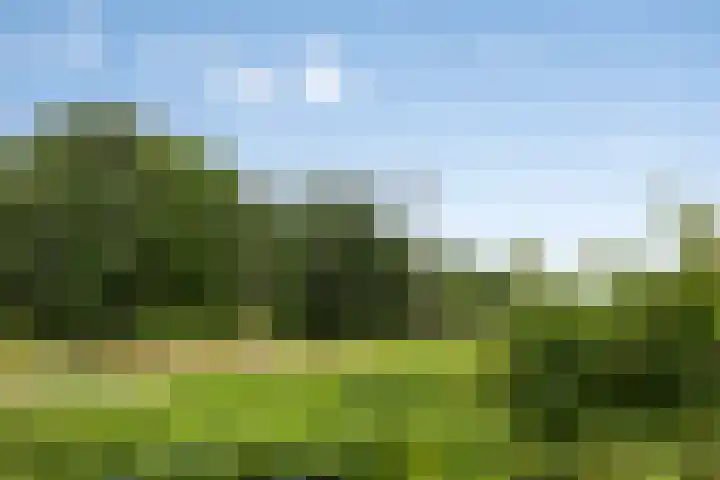 Schaterland 7 Ellecom thumbnail 52