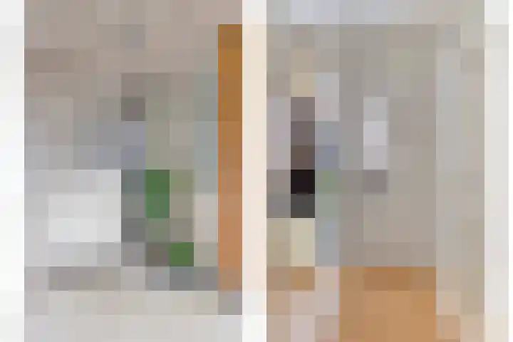 Schaterland 7 Ellecom thumbnail 6