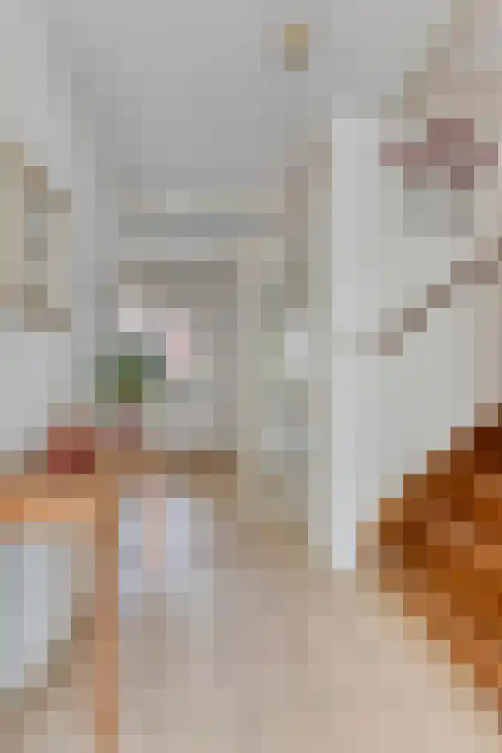 Schaterland 7 Ellecom thumbnail 8