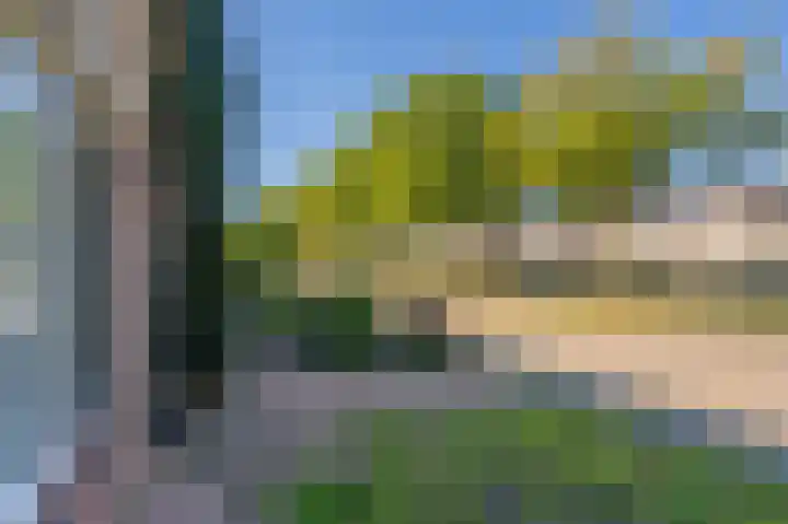 Schatgoorn 50 Assen thumbnail 8