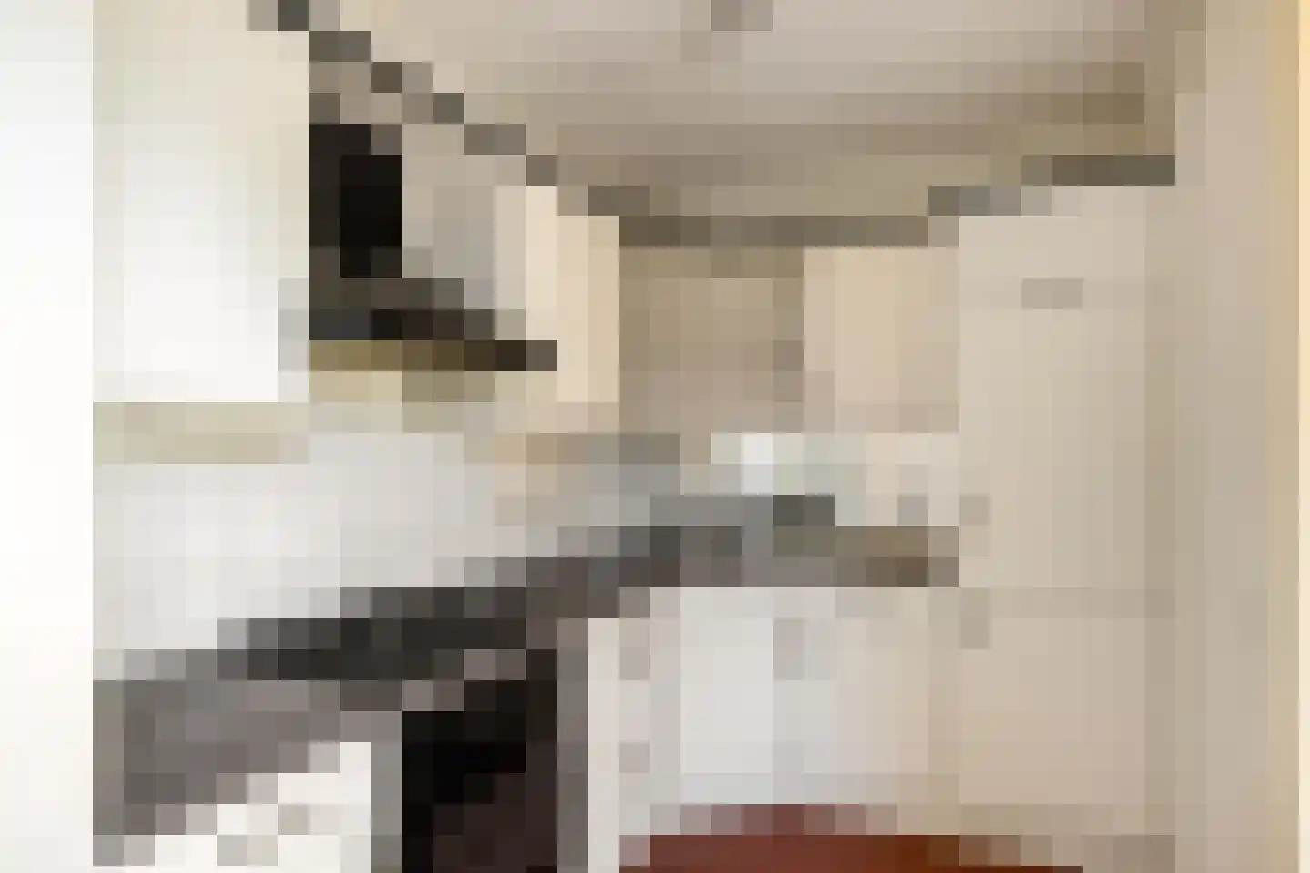 Schattersum 27 Schildwolde thumbnail 15