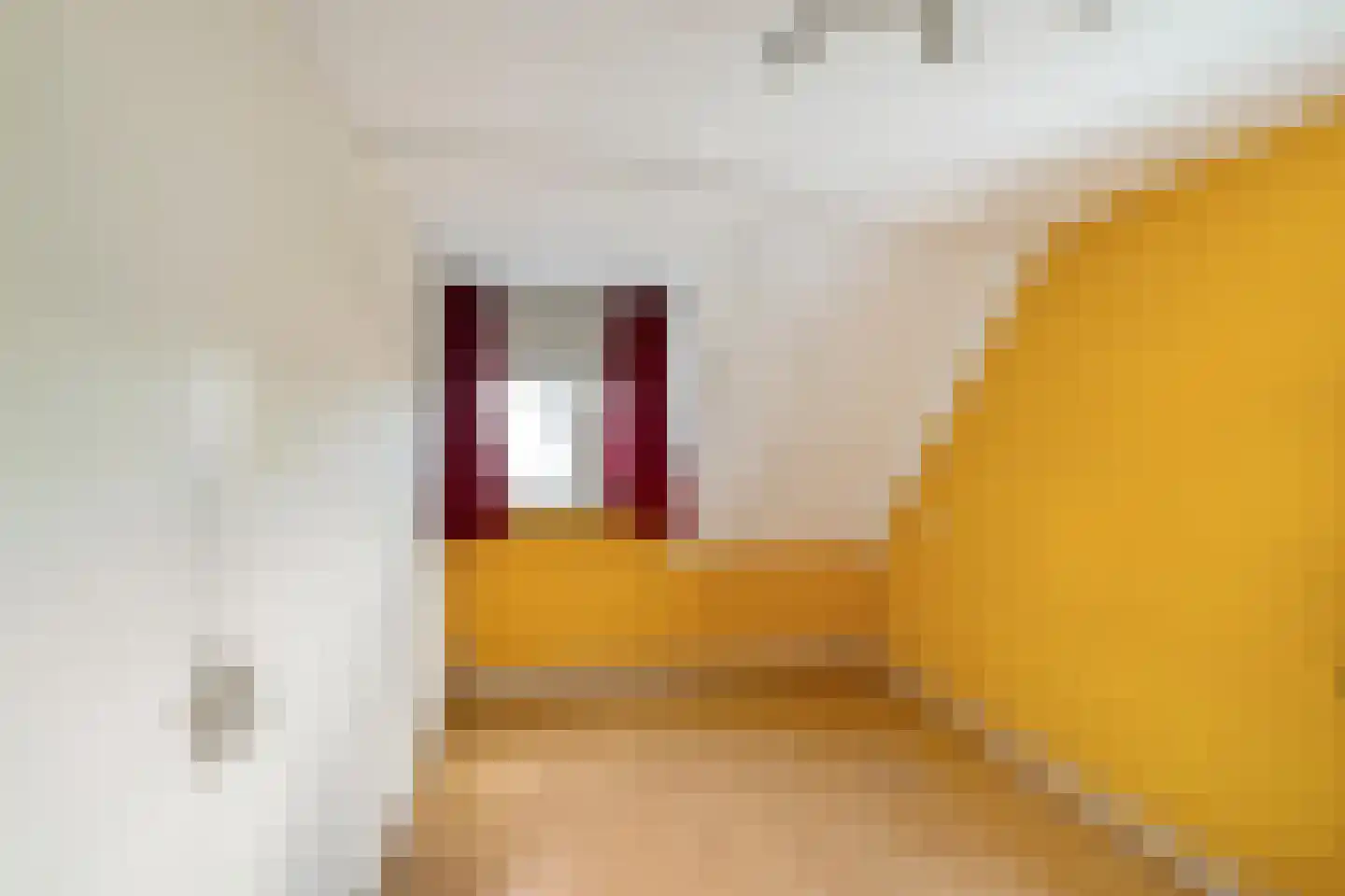 Schattersum 27 Schildwolde thumbnail 23