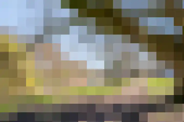 Schattersum 27 Schildwolde thumbnail 28