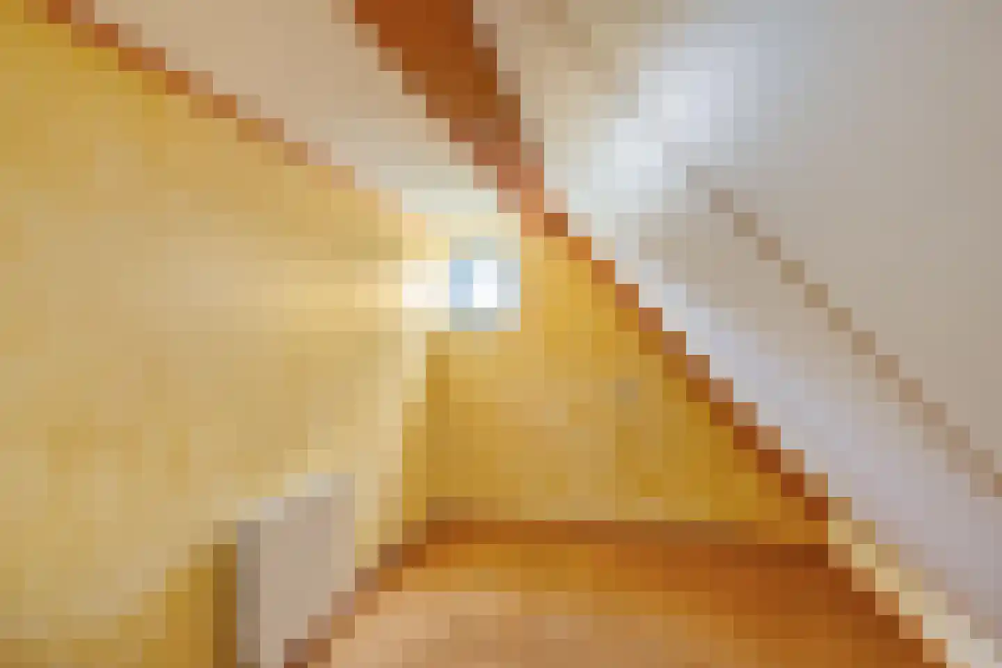 Schattersum 27 Schildwolde thumbnail 35