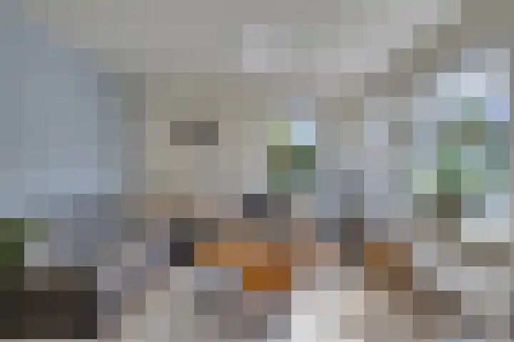 Schattersum 39 Schildwolde thumbnail 10