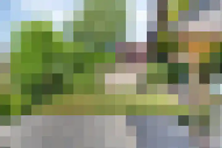 Schattersum 39 Schildwolde thumbnail 39