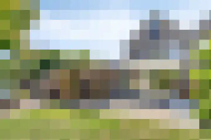 Schattersum 39 Schildwolde thumbnail 40