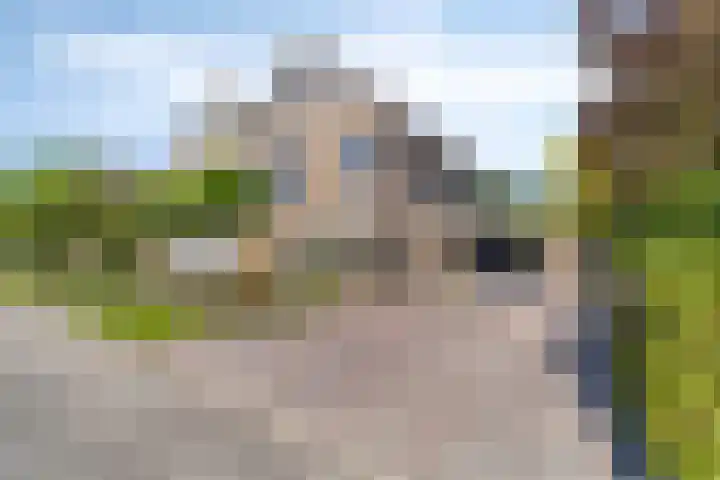 Schattersum 39 Schildwolde thumbnail 47