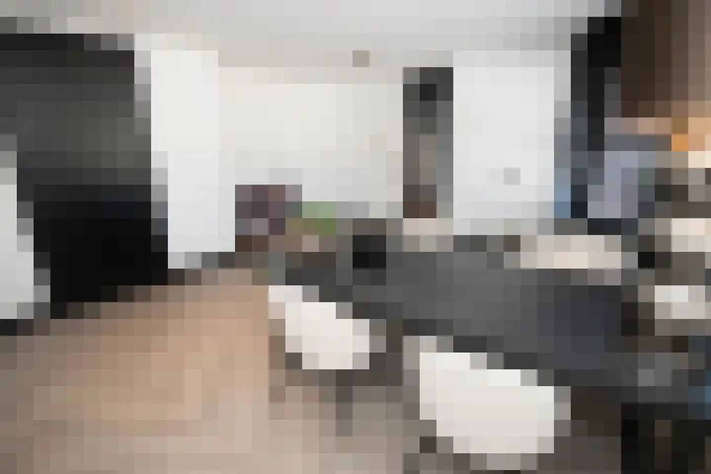 Scheefkelk 10 Duiven thumbnail 16