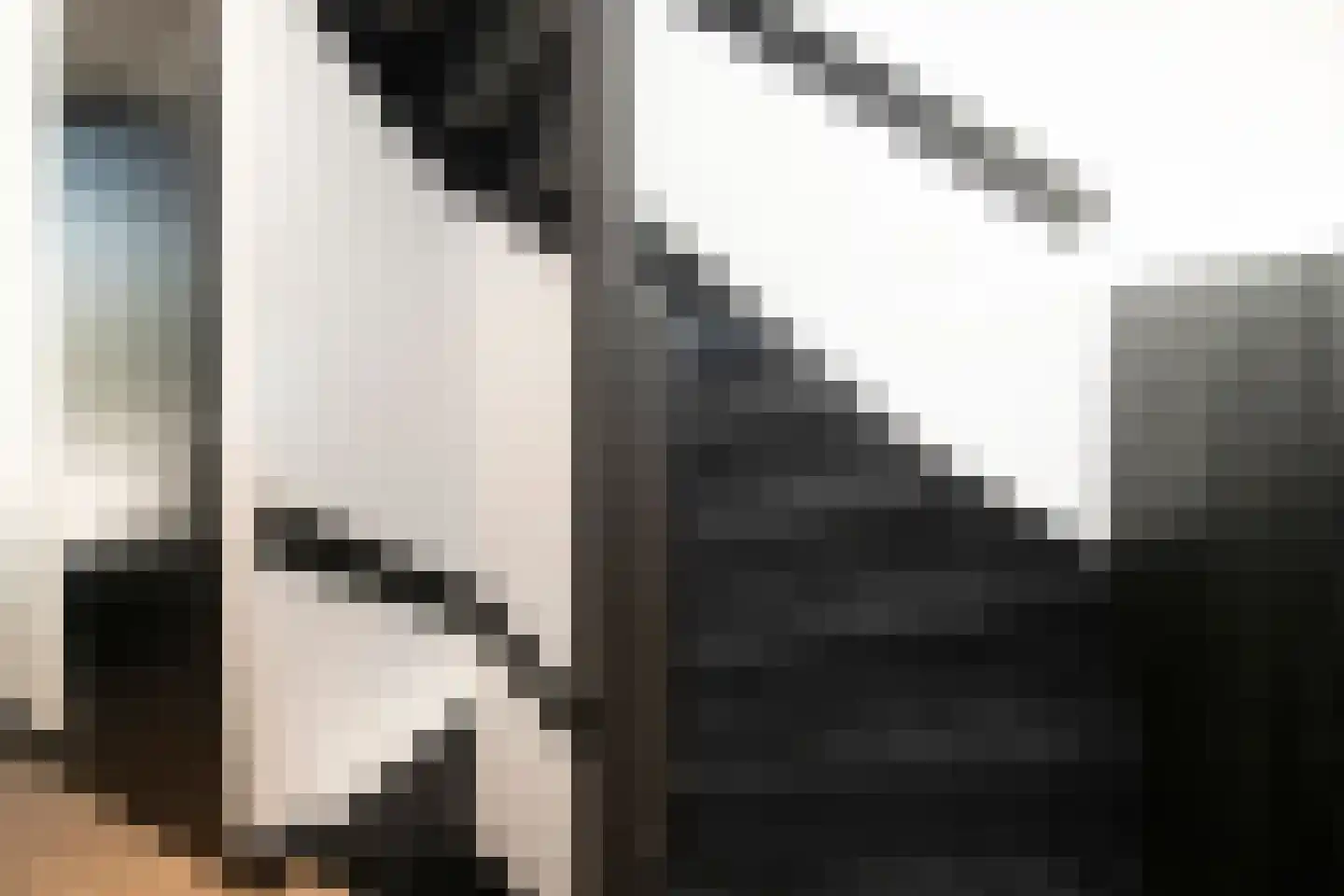 Scheefkelk 10 Duiven thumbnail 24