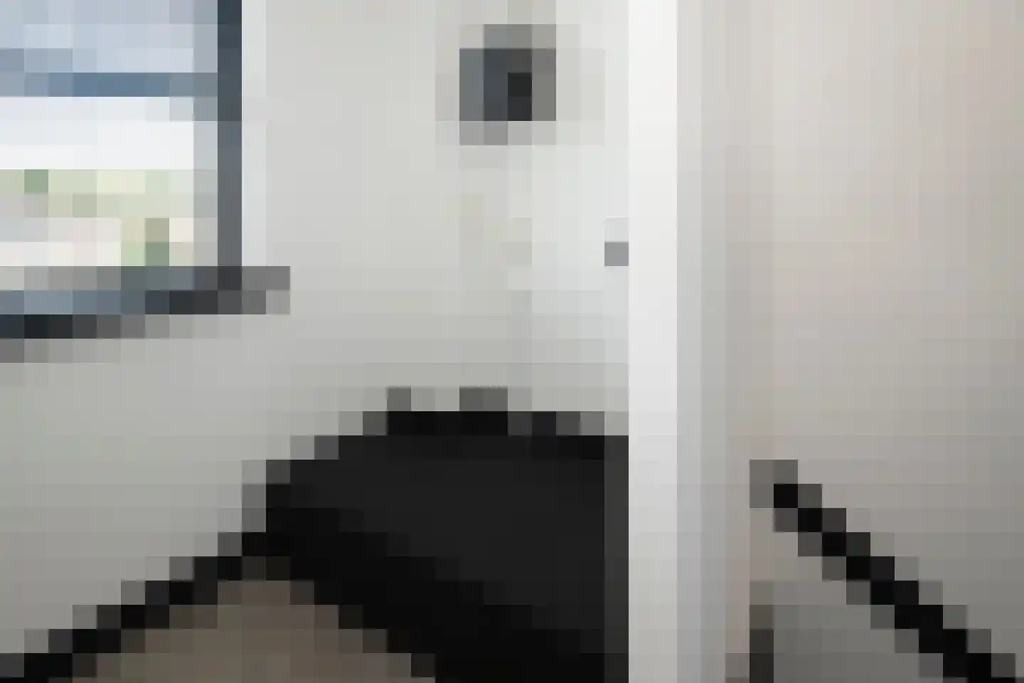 Scheefkelk 10 Duiven thumbnail 26