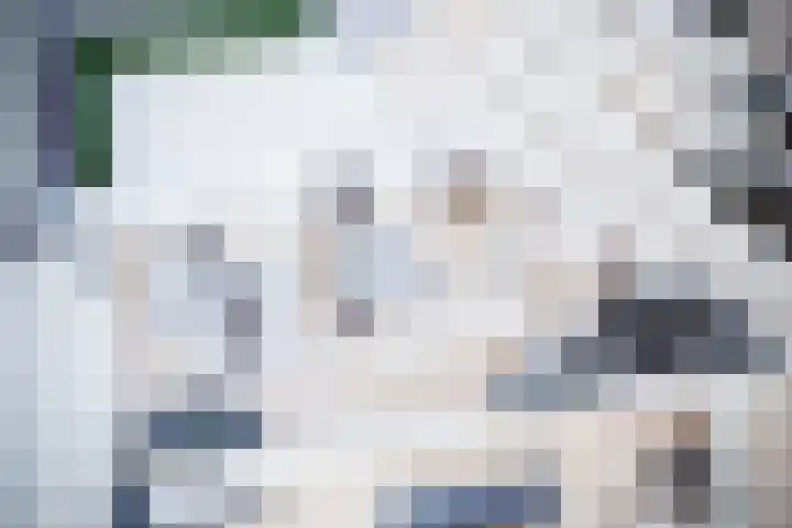 Scheefkelk 2 Duiven thumbnail 5