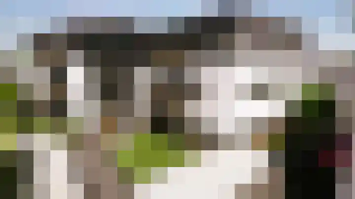 Scheefkelk 2 Duiven thumbnail 6