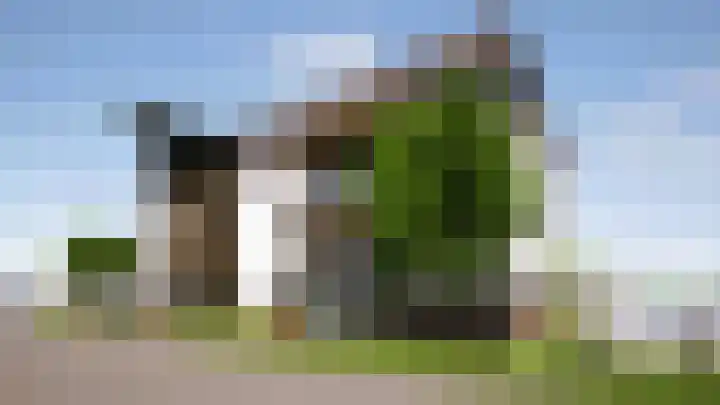 Scheefkelk 2 Duiven thumbnail 8