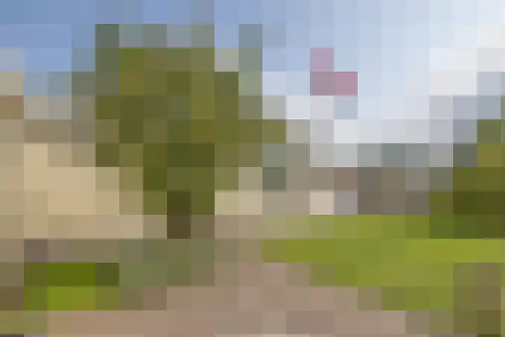 Scheendijk 14 39 Breukelen thumbnail 4
