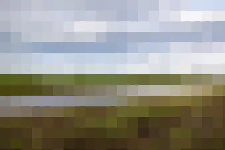 Scheendijk 17 3 Breukelen thumbnail 32