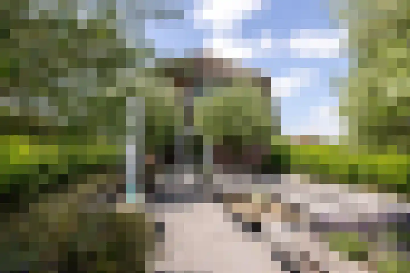 Scheendijk 23 12 Breukelen thumbnail 22
