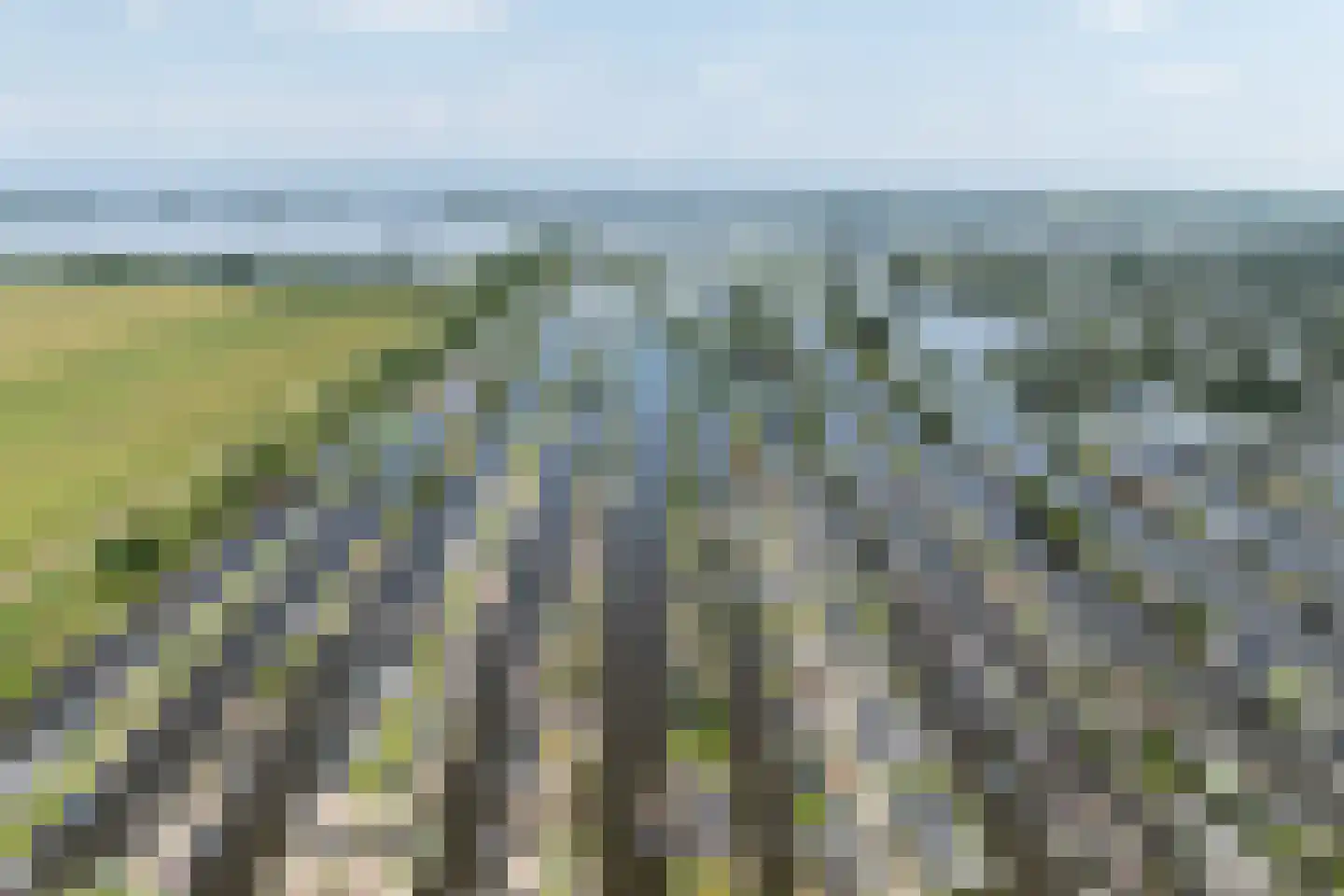 Scheendijk 23 12 Breukelen thumbnail 46