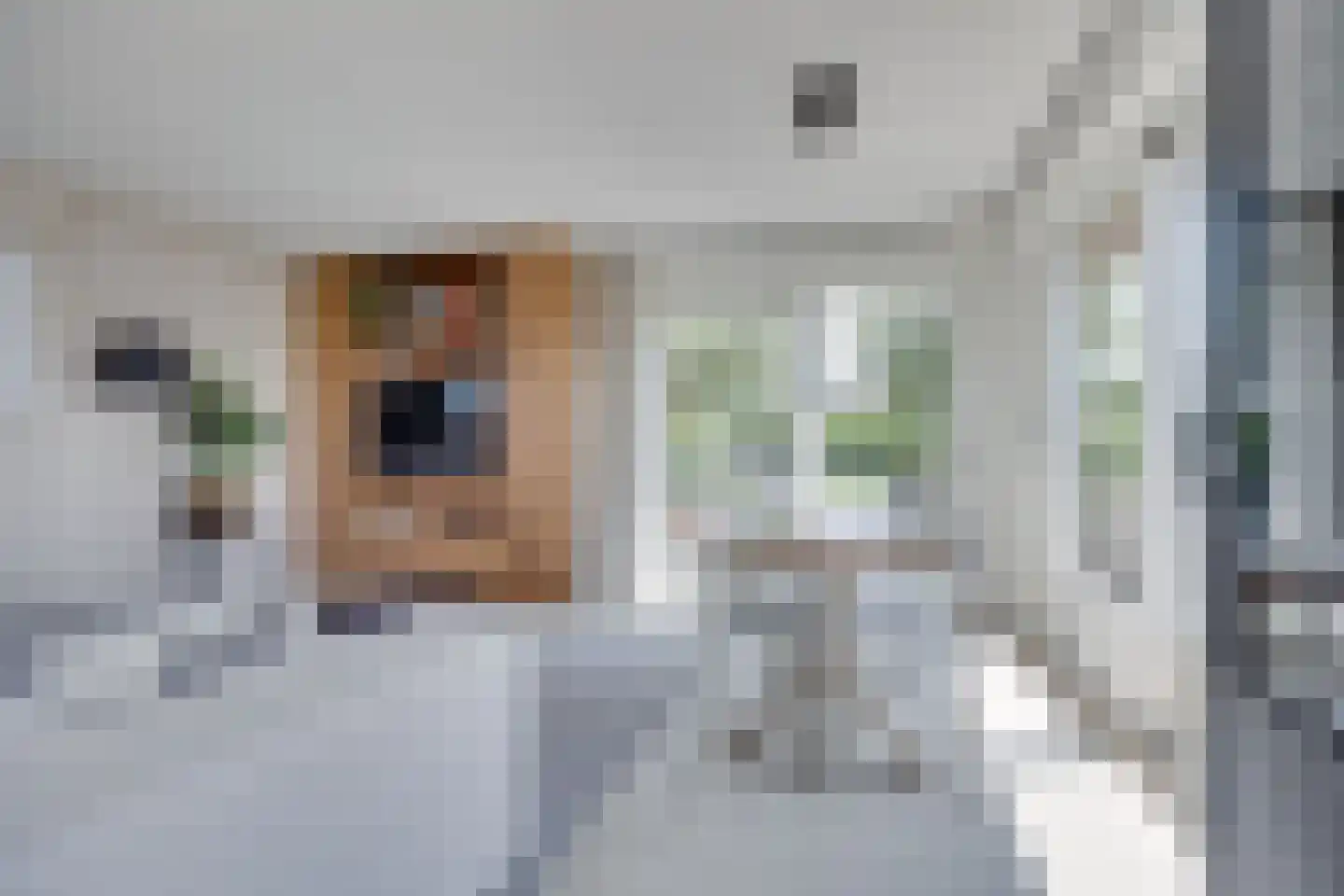 Scheendijk 23 12 Breukelen thumbnail 6