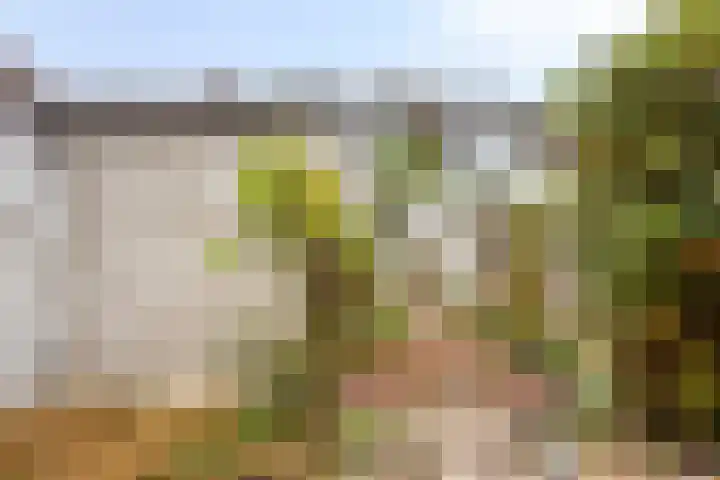 Scheendijk 8 16 in Breukelen