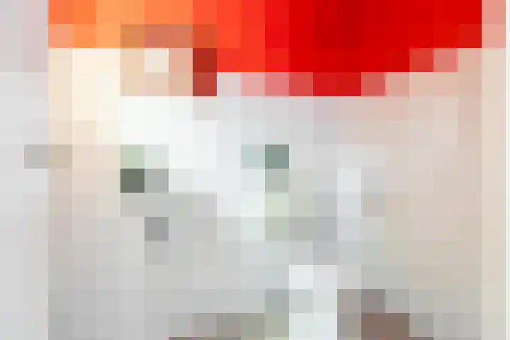 Scheepersstraat 41 Haarlem thumbnail 21