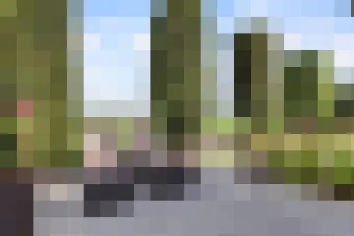 Scheepjesbrug 211 Meerkerk thumbnail 40