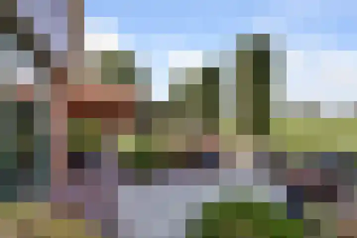 Scheepjesbrug 211 Meerkerk thumbnail 42