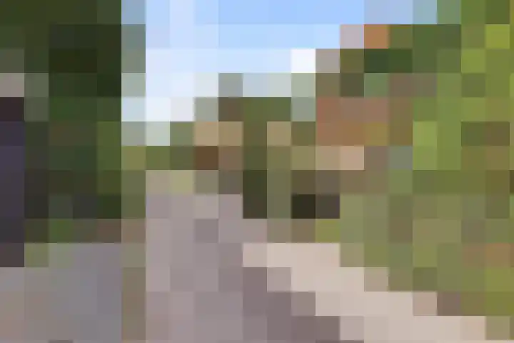 Scheepjesbrug 211 Meerkerk thumbnail 47