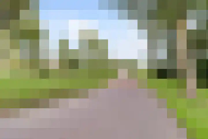 Scheepjesbrug 211 Meerkerk thumbnail 50