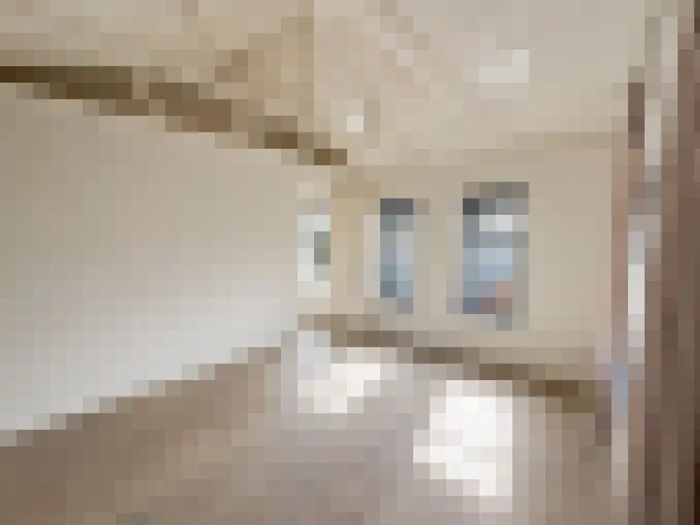 Scheepjesbrug 404 Meerkerk thumbnail 23