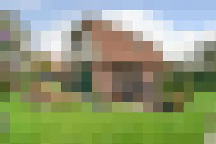 Scheepjesbrug 607 Meerkerk thumbnail 45