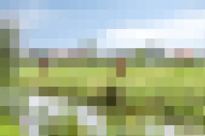 Scheepjesbrug 808 Meerkerk thumbnail 40