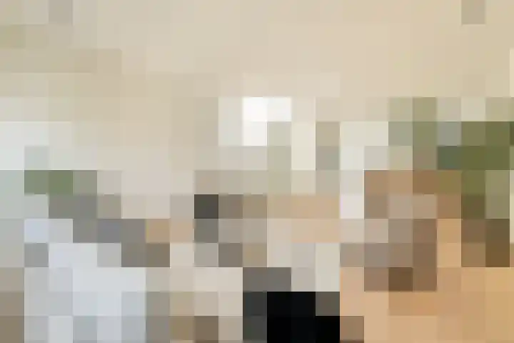 Scheepmakersdijk 25 Haarlem thumbnail 11