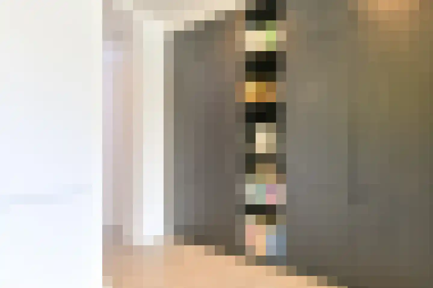 Scheepmakersdijk 25 Haarlem thumbnail 14