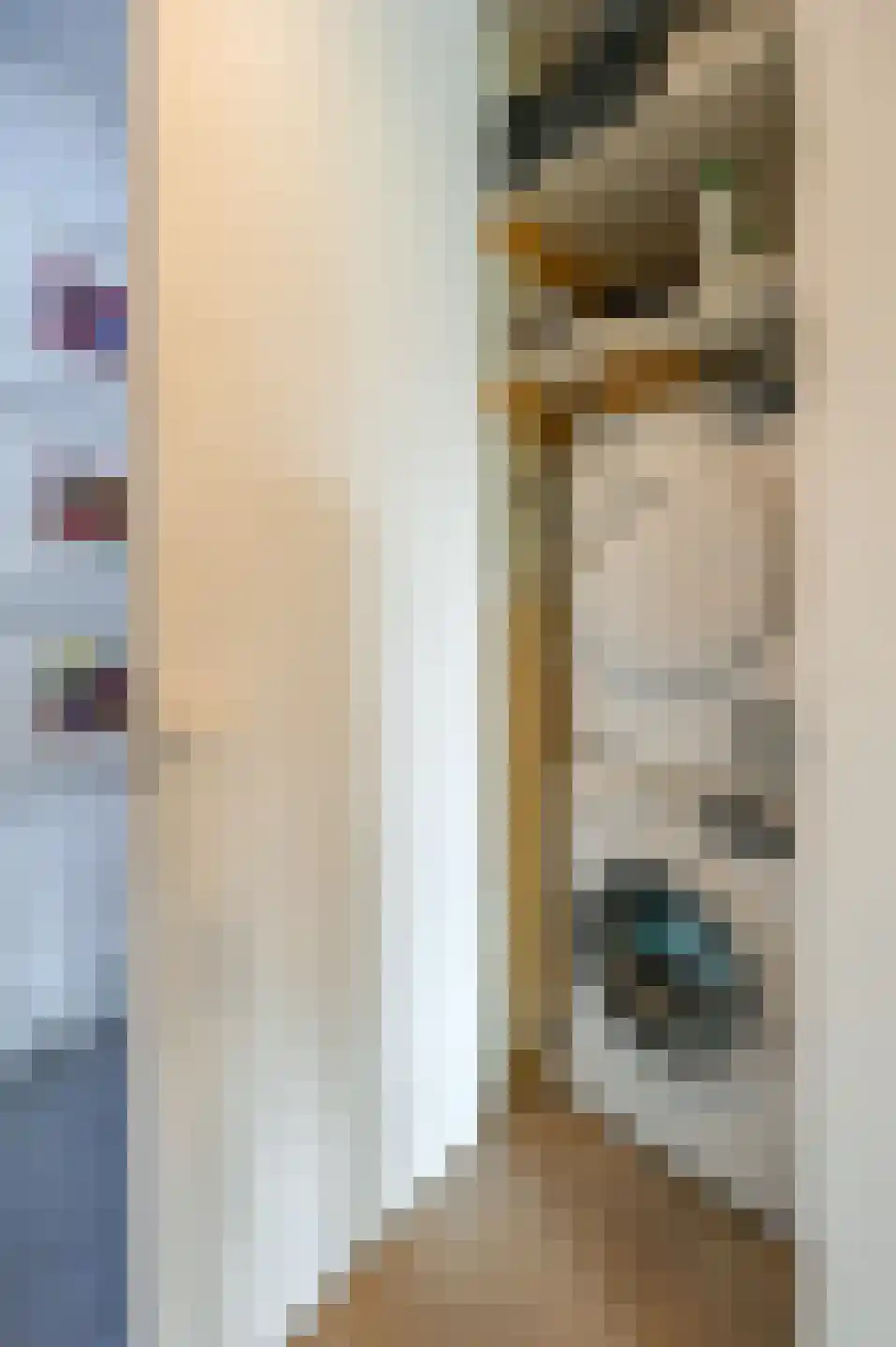 Scheepmakersdijk 25 Haarlem thumbnail 16