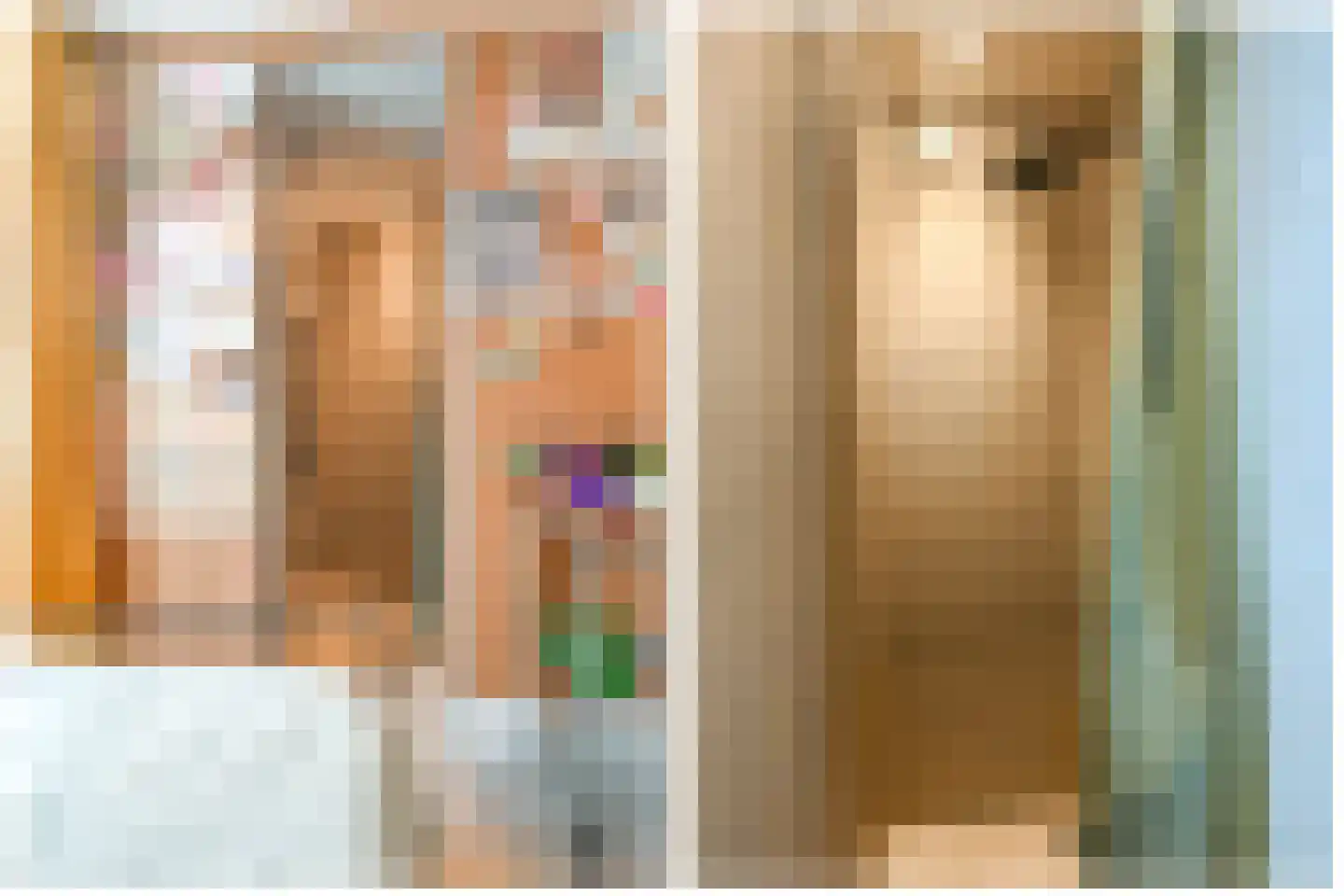 Scheepmakersdijk 25 Haarlem thumbnail 24