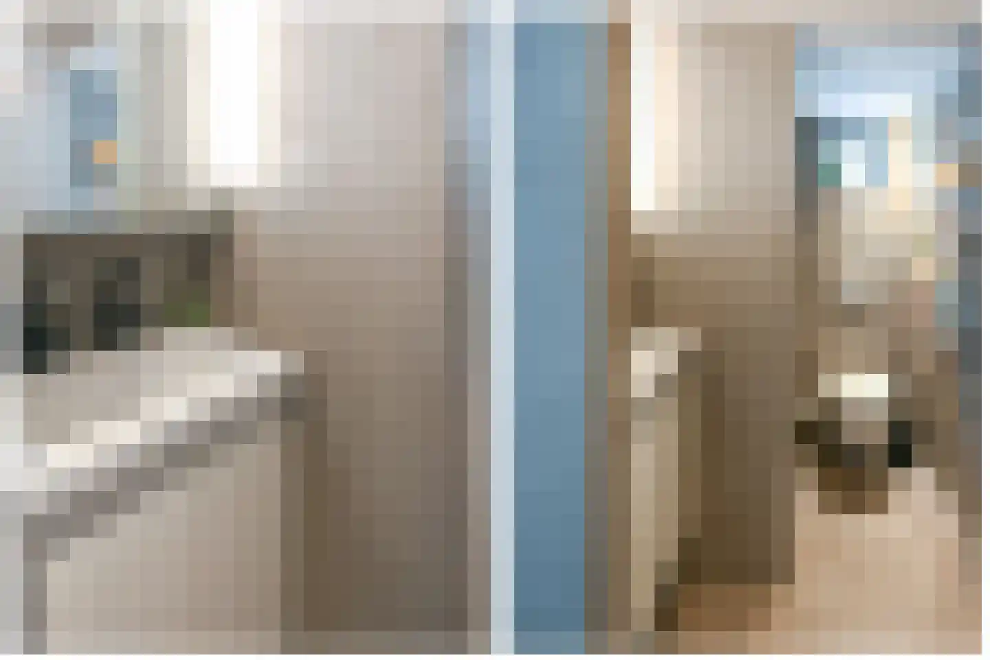 Scheepmakersdijk 25 Haarlem thumbnail 25