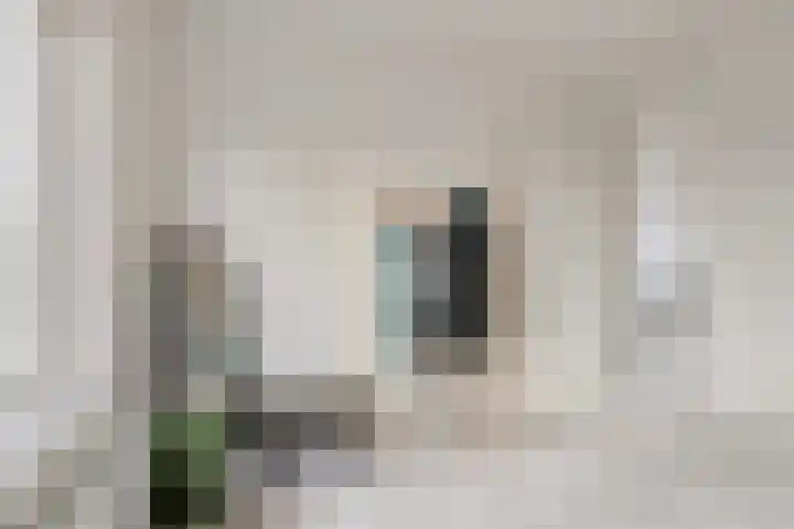 Scheepmakersdijk 25 Haarlem thumbnail 28