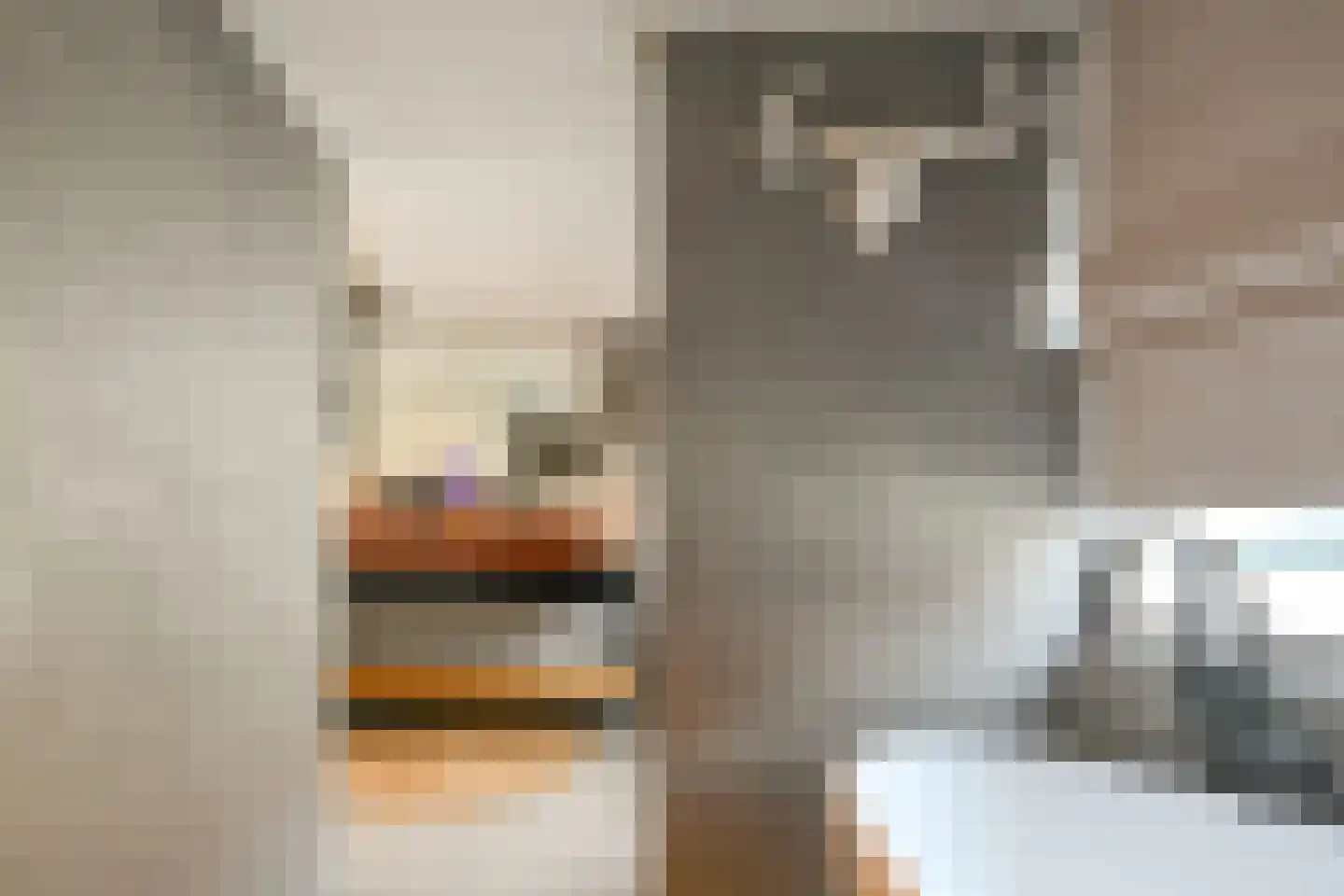 Scheepmakersdijk 25 Haarlem thumbnail 35