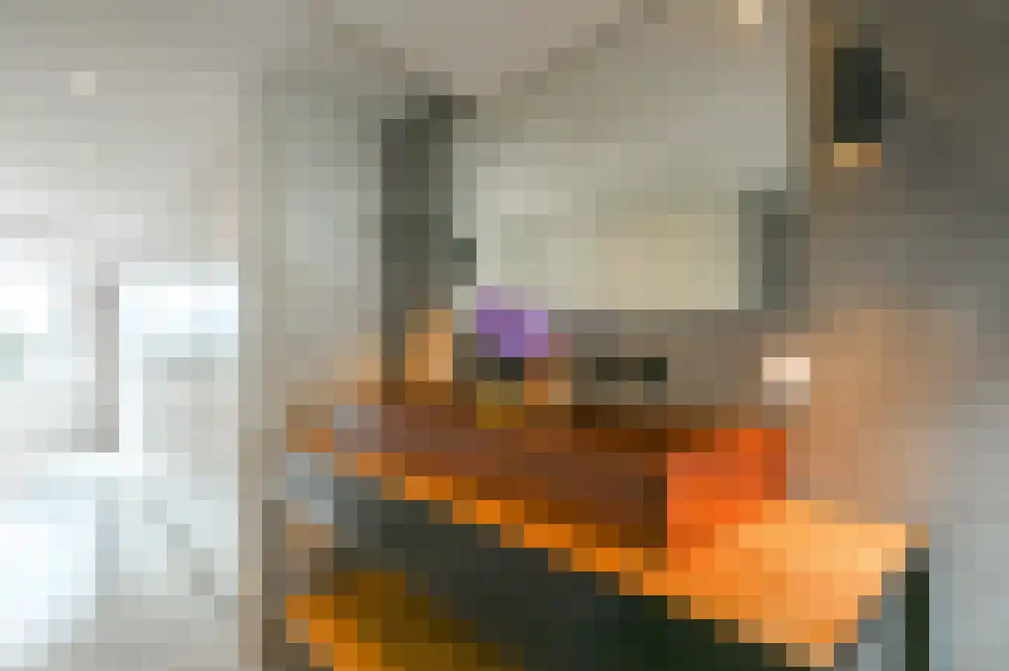 Scheepmakersdijk 25 Haarlem thumbnail 36