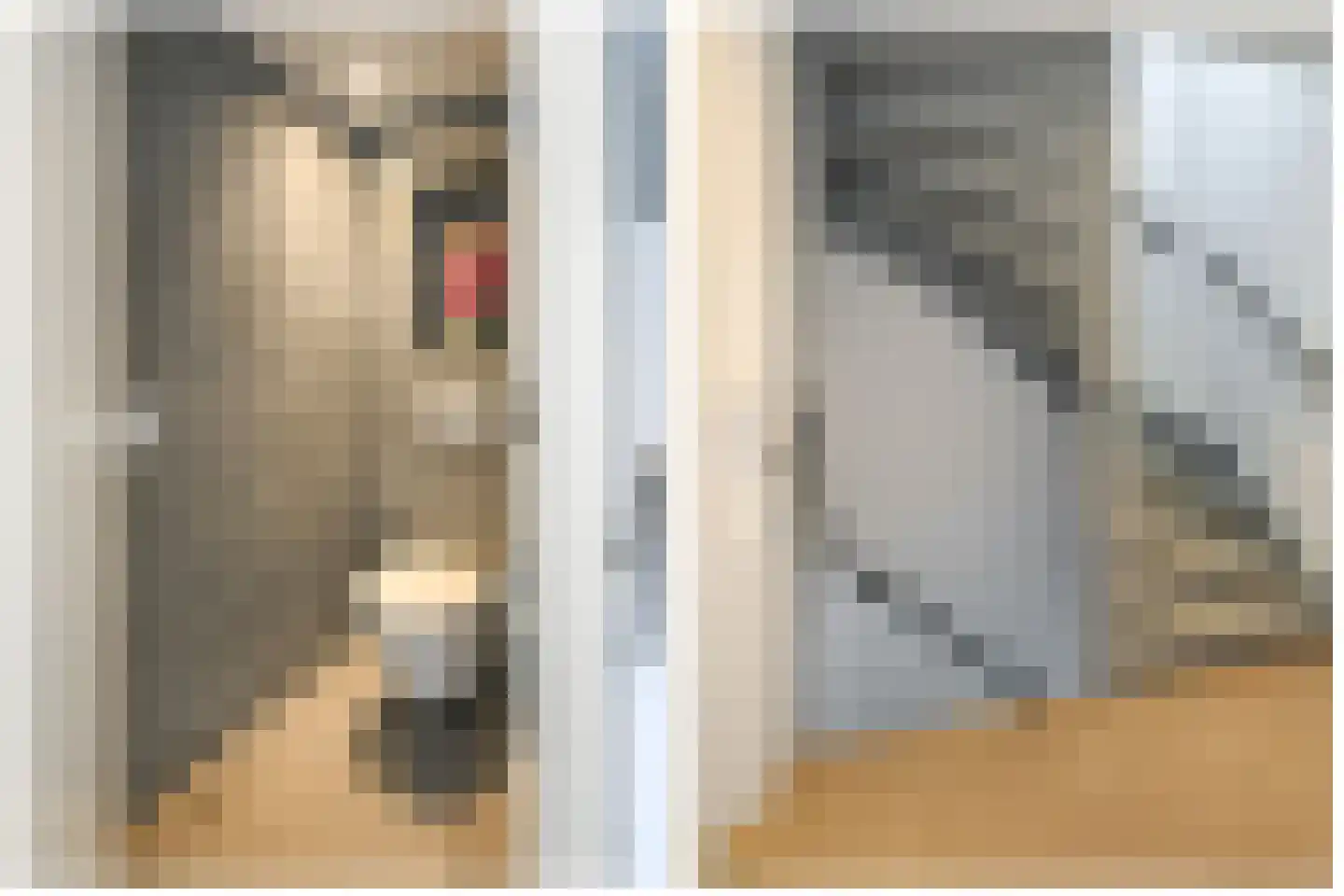 Scheepmakersdijk 25 Haarlem thumbnail 38