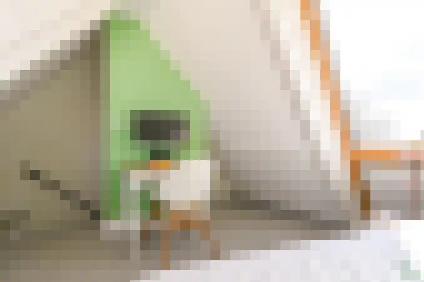 Scheepmakersdijk 25 Haarlem thumbnail 40