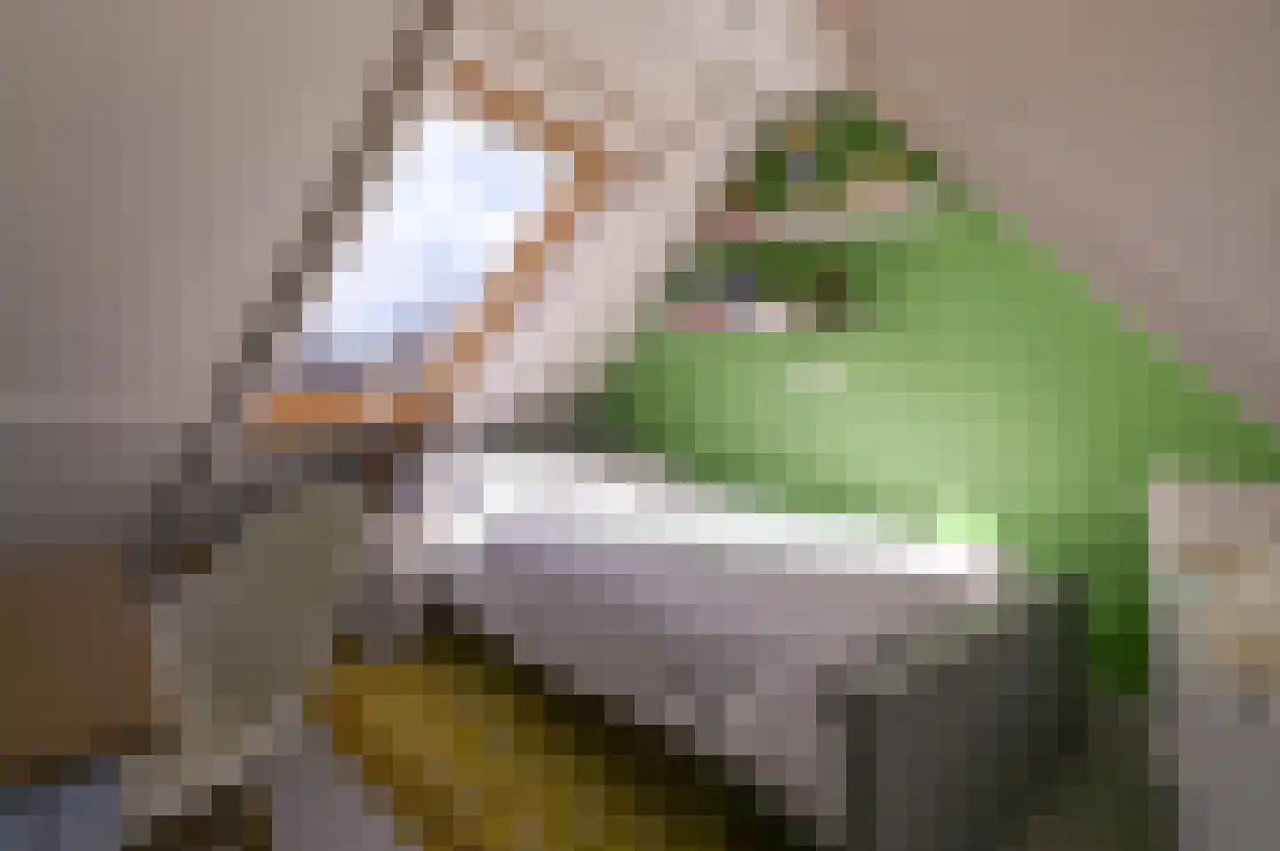 Scheepmakersdijk 25 Haarlem thumbnail 41