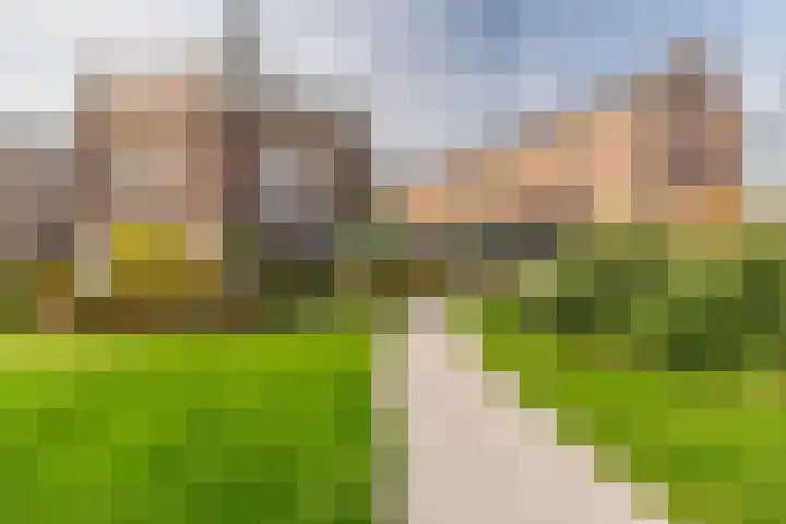 Scheepmakersdijk 25 Haarlem thumbnail 46