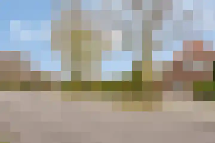 Scheepmakersdijk 25 Haarlem thumbnail 47