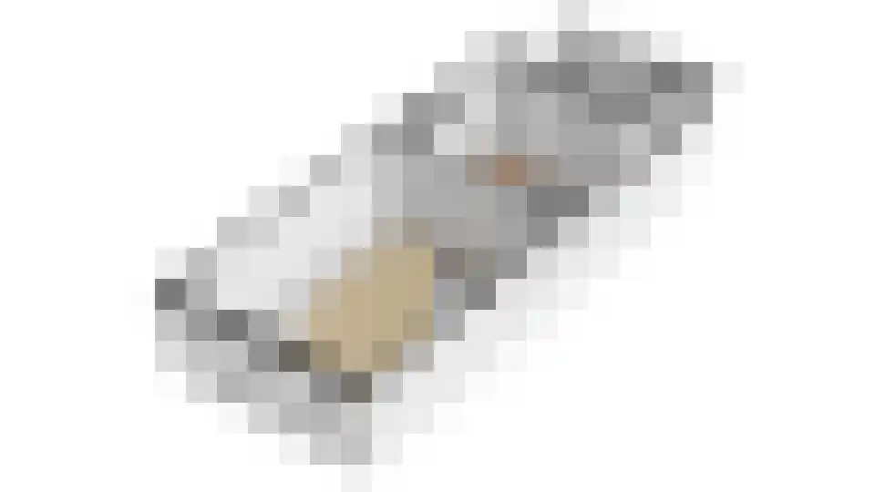 Scheepmakersdijk 25 Haarlem thumbnail 57