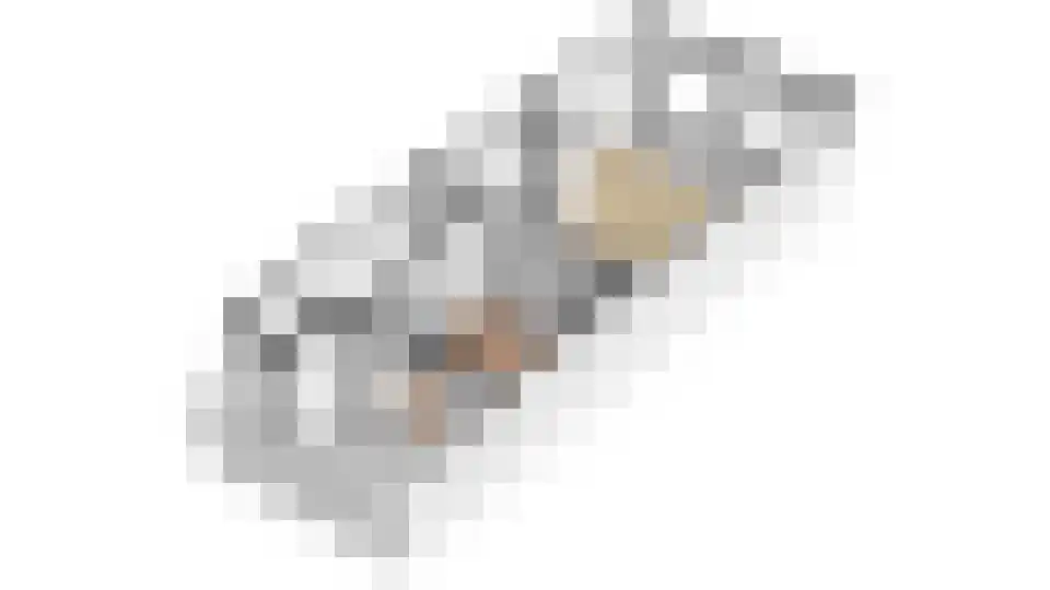 Scheepmakersdijk 25 Haarlem thumbnail 58